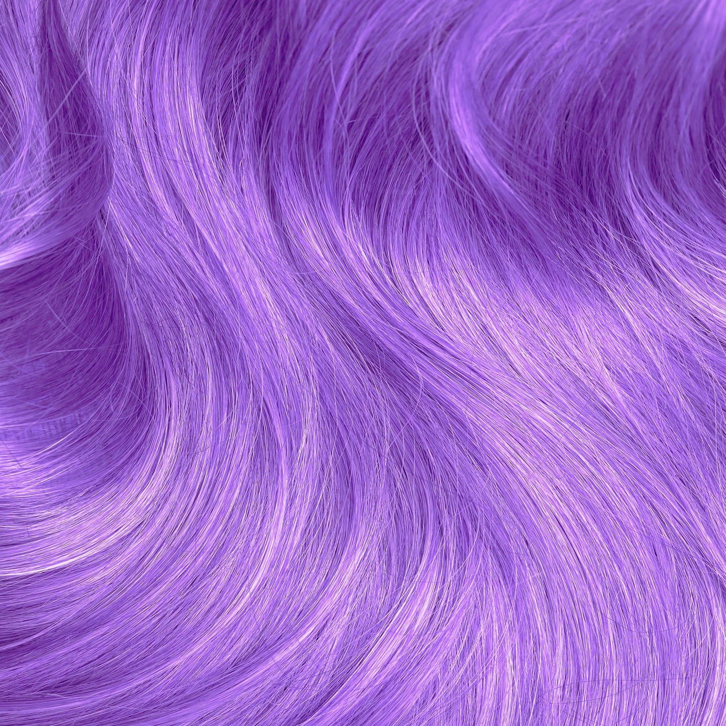 IRIS PURPLE